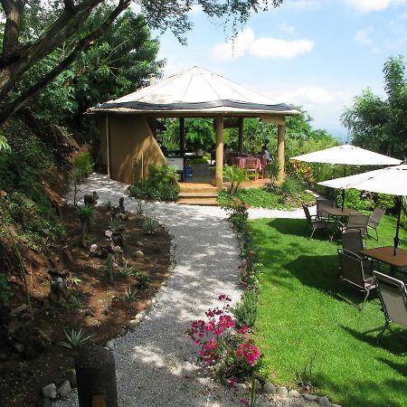 Cabanas El Nido De La Huilota Hotell Tepoztlán Exteriör bild