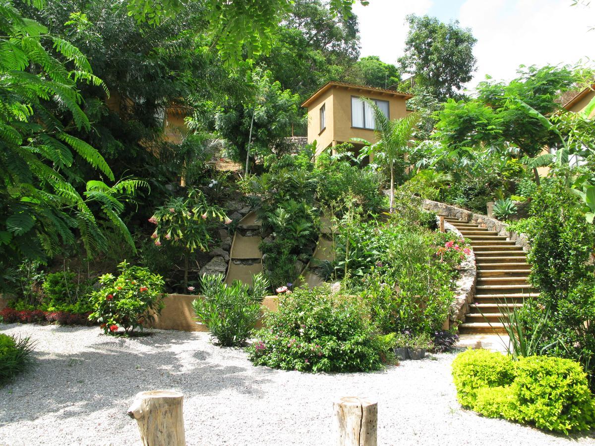 Cabanas El Nido De La Huilota Hotell Tepoztlán Exteriör bild