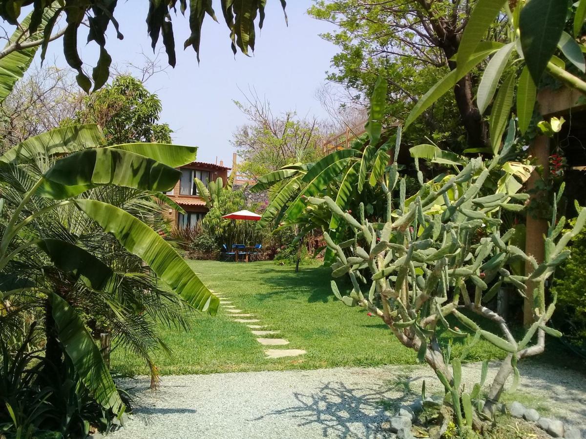Cabanas El Nido De La Huilota Hotell Tepoztlán Exteriör bild